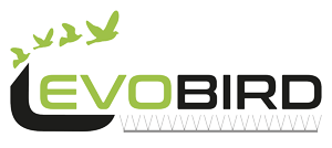 Evobird